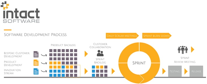 Software development process